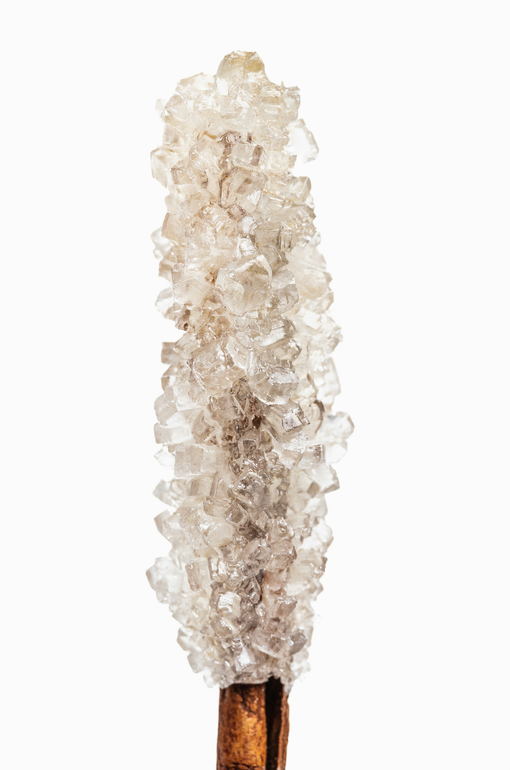 Elegant Vanilla Sugar 32 oz Body Wash