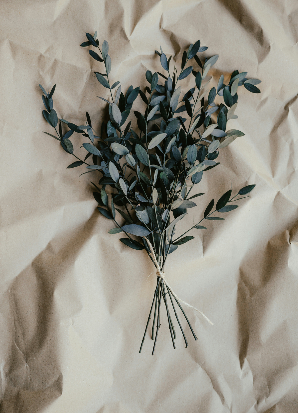 Elegant Eucalyptus 100 ml Room Spray