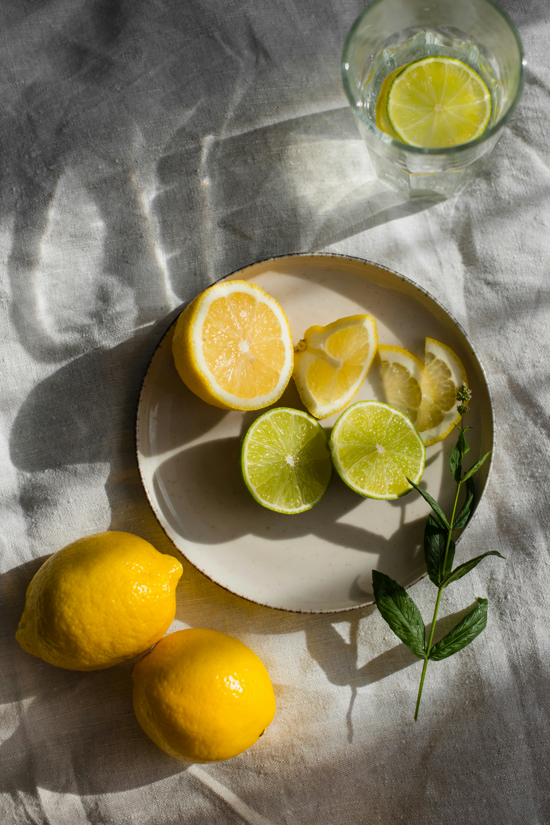 Aromatic Sand + Paws Limoncello 12 oz scented candle