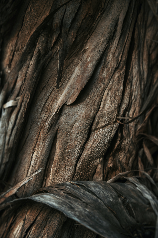 Natural Vanilla Sandalwood 32 oz 2-In-1